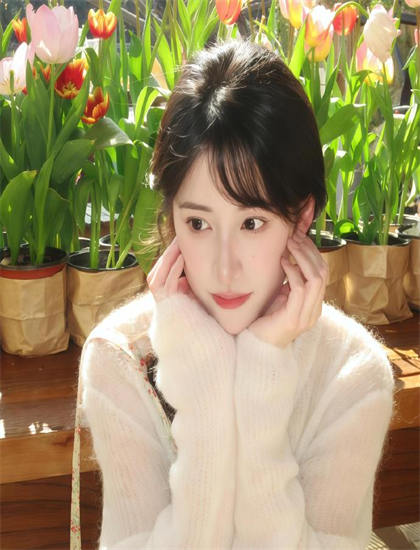 老少名侦探观影指南：如何理解社会意义与现实价值 提升观影体验