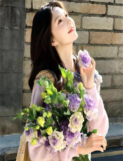 蓝光原盘：车仁表美学价值分析不容错过的：艺术美感与审美特征探讨